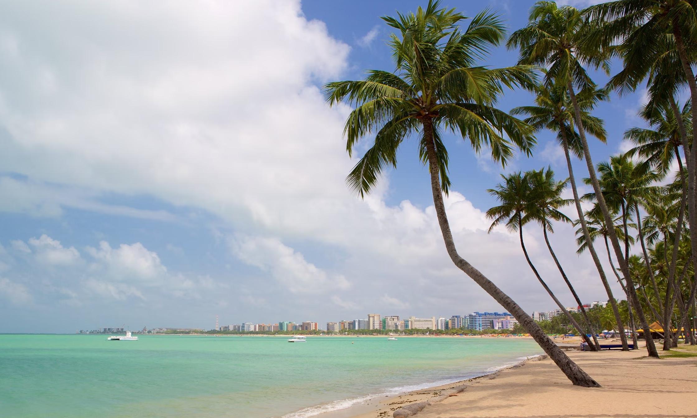 MACEIO - SALIDAS DE ENERO A JUNIO 2025